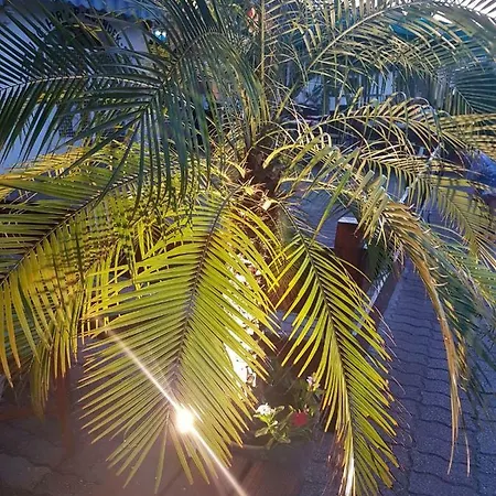 Andre & Moni Balatongyörök