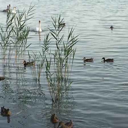 Διαμέρισμα Andre & Moni *