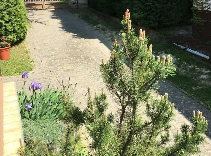 Andre & Moni Балатондьёрёк