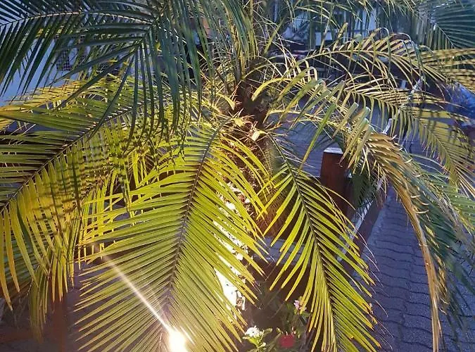 Andre & Moni Балатондьёрёк