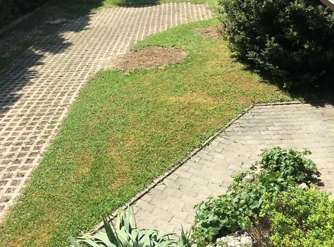 Andre & Moni * Балатондьёрёк